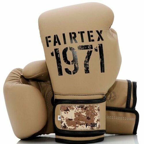 Боксерские перчатки Fairtex F-Day2 BGV25. 14oz
