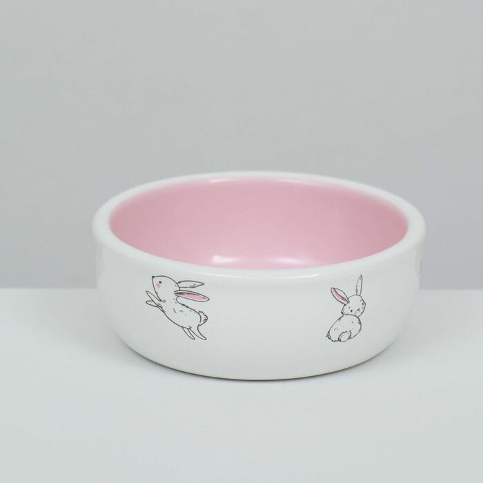 Миска керамическая для кроликов 200 мл 10 х 3,7 см, бело-розовая