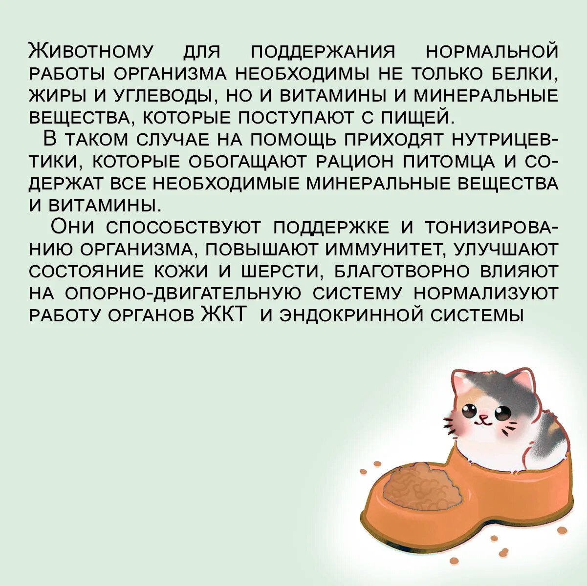 Сухой корм Edel для стерилизованных кошек, с телятиной 1.5 кг - фотография № 11