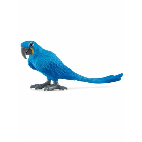 Животное попугай Гиацинтовый ара