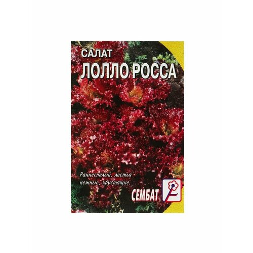 Семена Салат Лолло-росса, 0,5 г семена салат лолло росса 0 5 г 22 упаковки