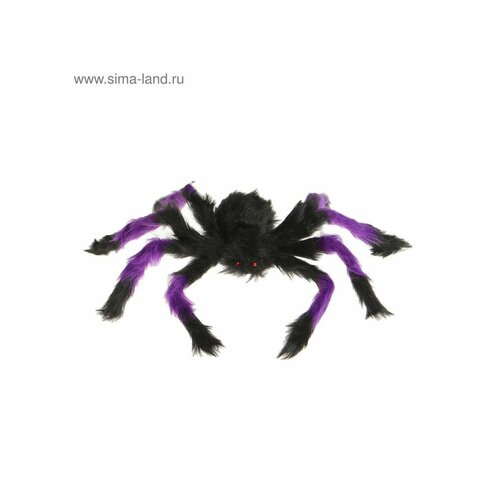Прикол Паук цвета Микс 591₽