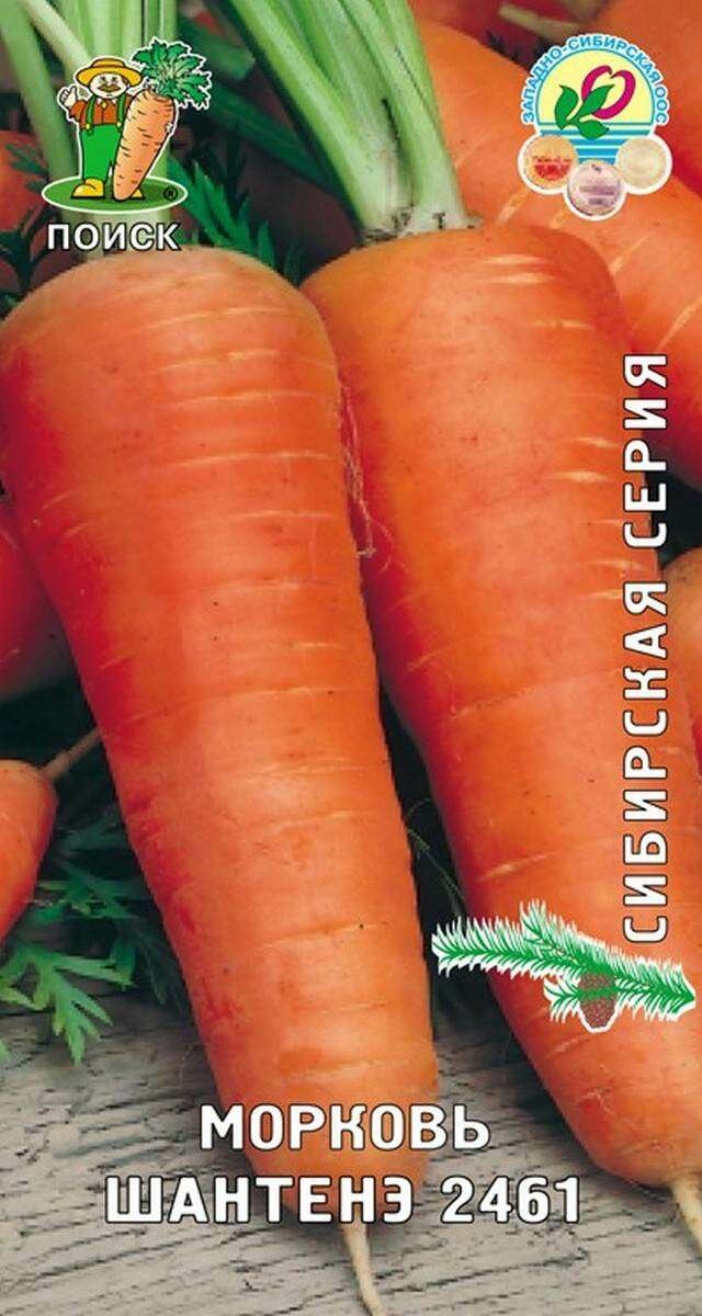 Морковь Шантенэ 2461 2г Ср (Поиск)
