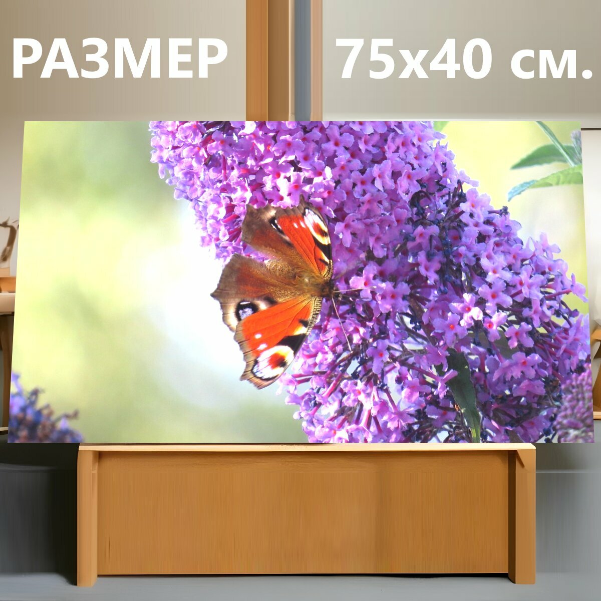 Картина на холсте "Бабочки, сад, бабочка" на подрамнике 75х40 см. для интерьера