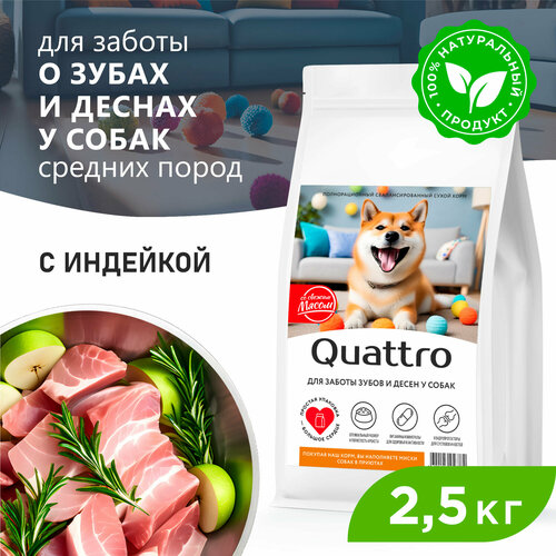 Корм сухой для взрослых собак средних пород, премиум полнорационный комплекс, забота о зубах и деснах, с индейкой, 2,5 кг, QUATTRO