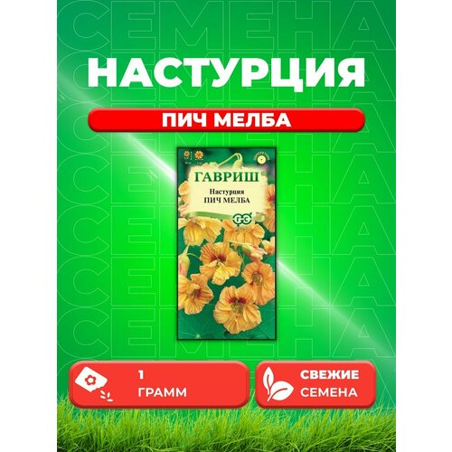 Настурция Пич Мелба 1,0 г DH