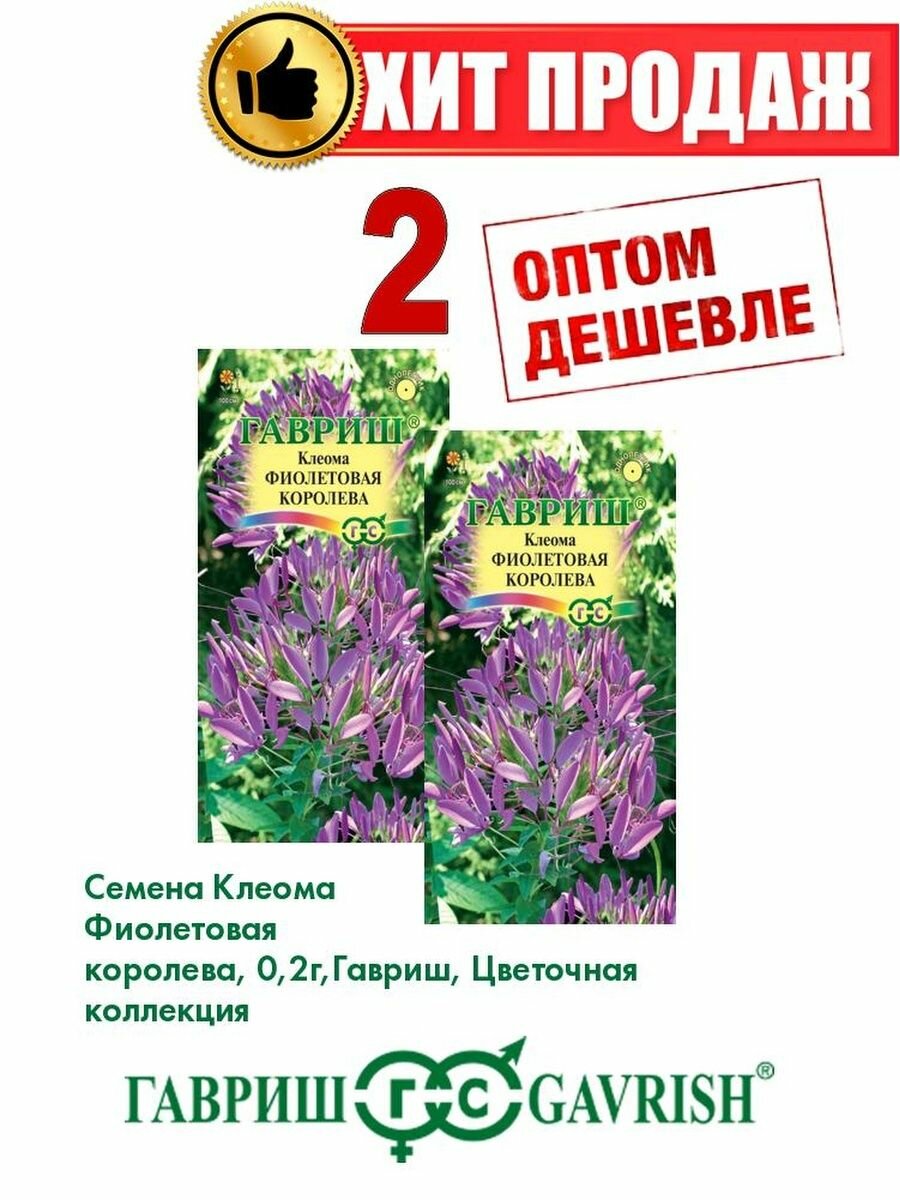 Клеома Фиолетовая королева, 0,2г, Гавриш(2уп)