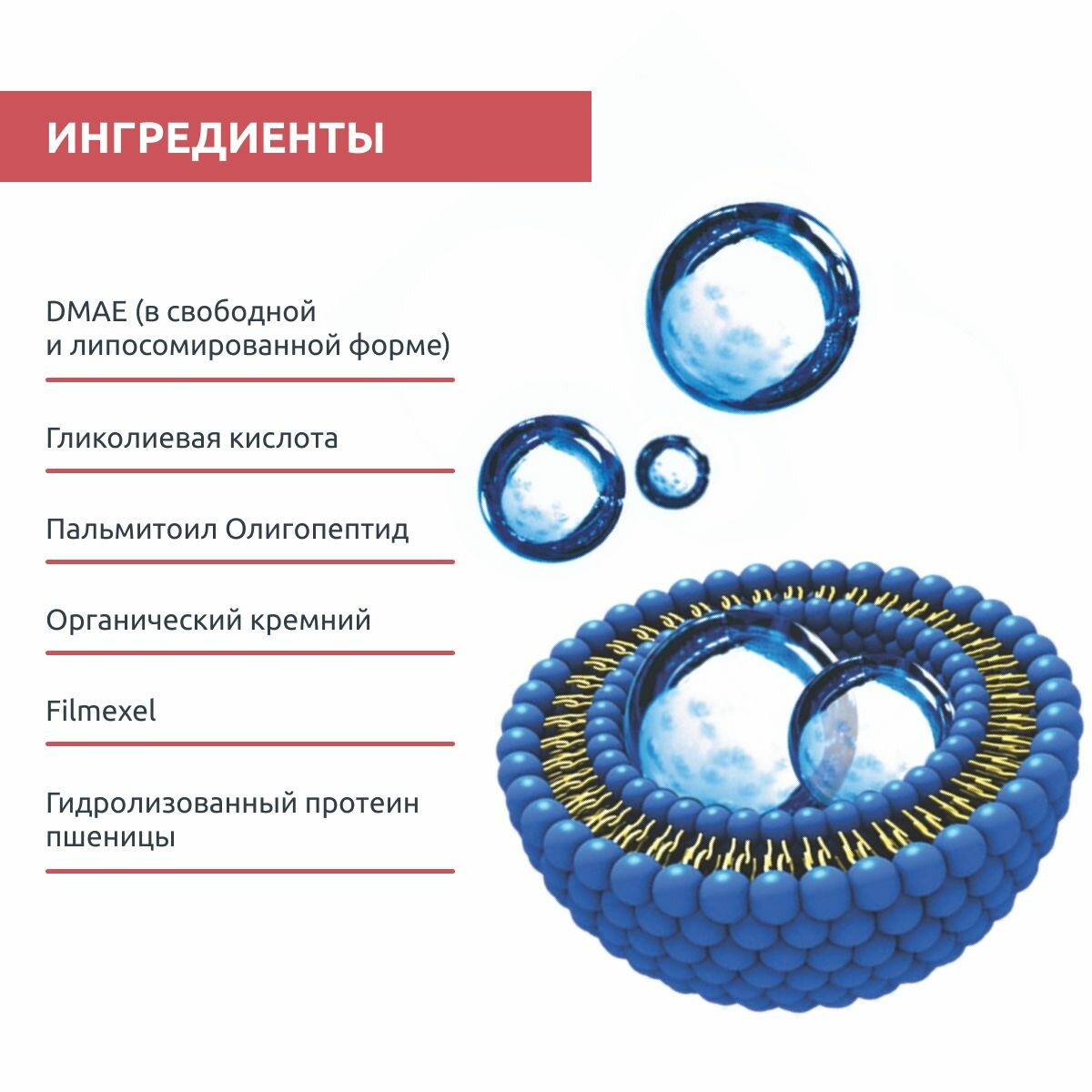 Sesderma DAESES Крем-лифтинг для подтяжки лица с мгновенным лифтинг эффектом, 50 мл — фото 1