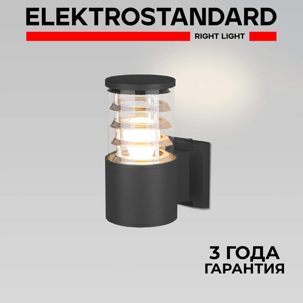 Уличный настенный светильник Elektrostandard 1408 TECHNO черный IP54