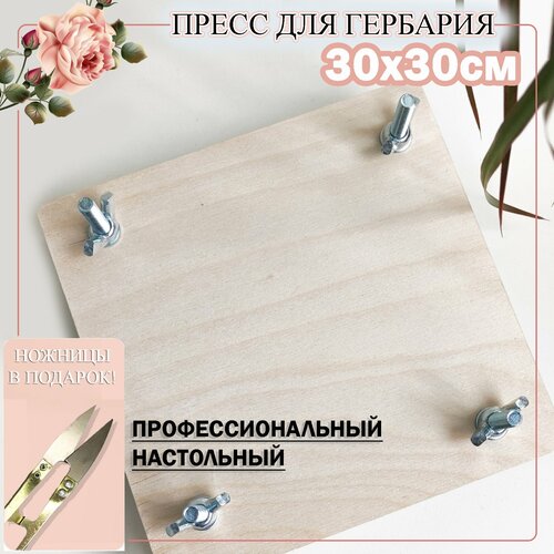 Пресс для гербария Пресс для сушки листьев трав и растений 2790₽