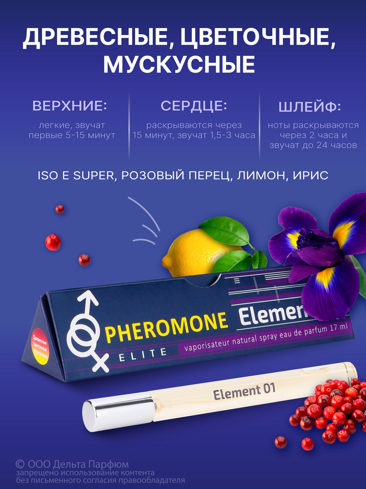 Духи женские Elite Element 01 от Delta PARFUM 17 мл древесный аромат — фото 1