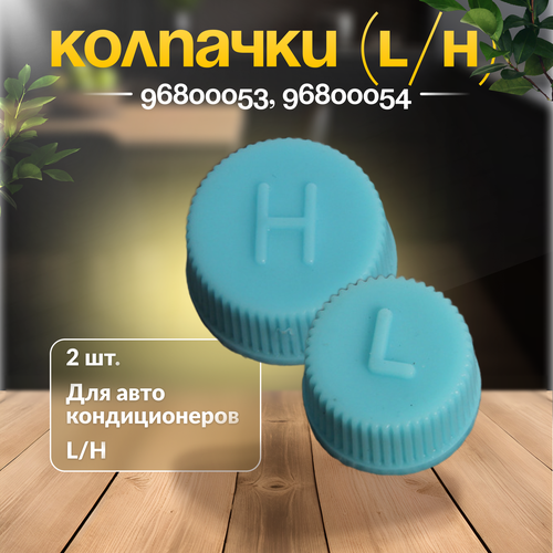Комплект колпачков сервисного порта авто кондиционера (L/H)