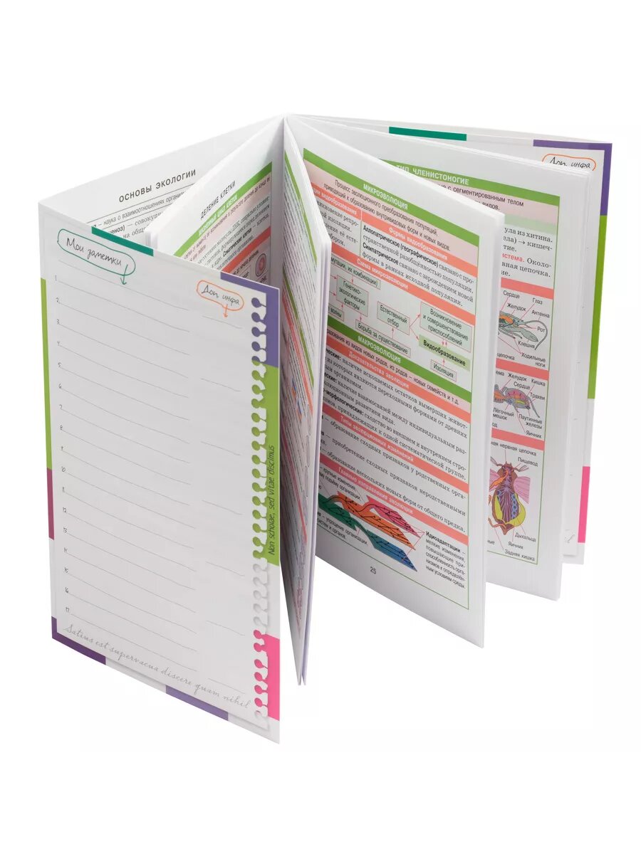 Справочник в таблицах. Биология. 7-11 класс — фото 1