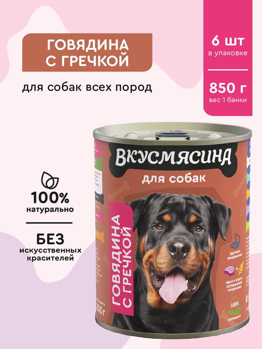 Корм для собак влажный вкусмясина с говядиной и гречкой 850 г х 6 шт.
