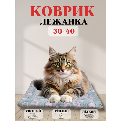 Лежак для животных Красный лис, флисовый, двусторонний, 40 см х 30 см