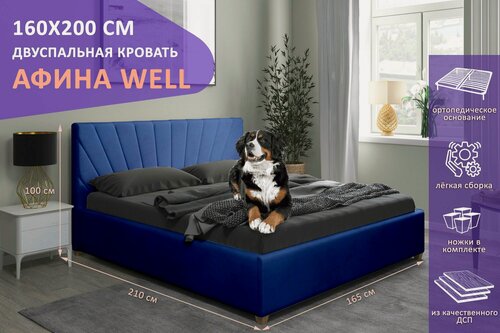 Изображение товара Двуспальная кровать Афина WELL 160х200 см, с ортопедическим подъемным механизмом, с ножками, цвет синий