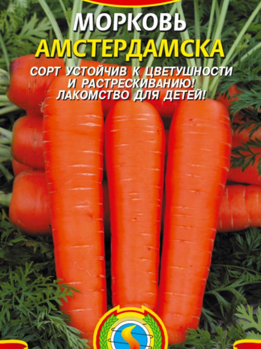 Семена Морковь Амстердамска 2 гр Плазменные семена