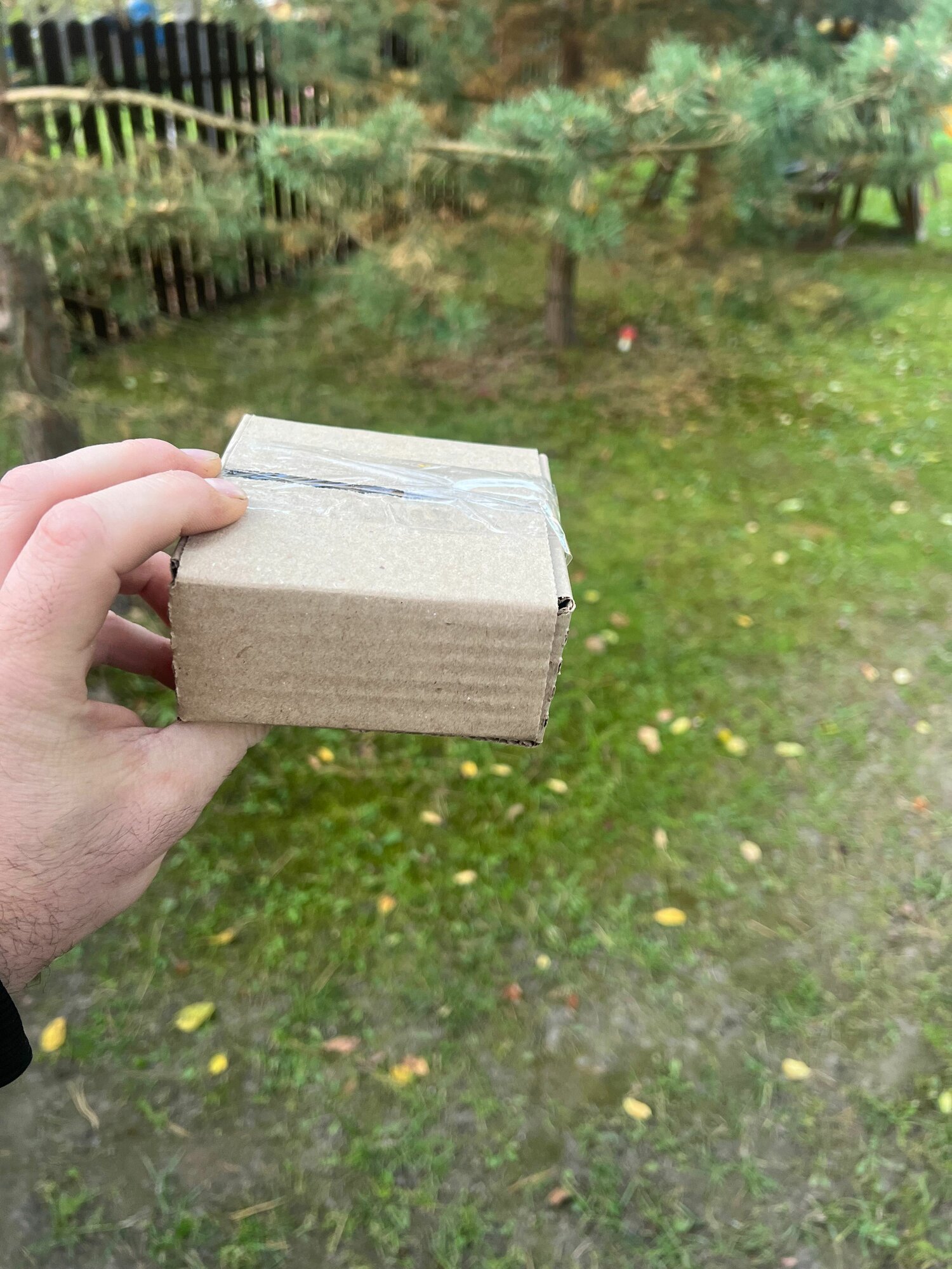 Запарка для бани и сауны (лаванда +пихта) 30г. (ручной сбор) — фото 1