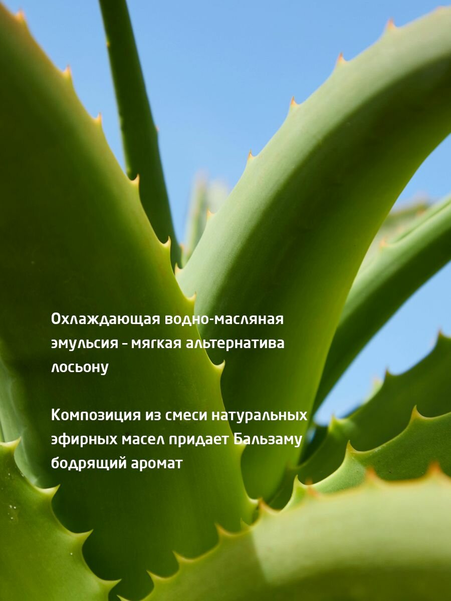 Weleda Мужской Бальзам после бритья, для всех типов кожи, 100 мл. — фото 1