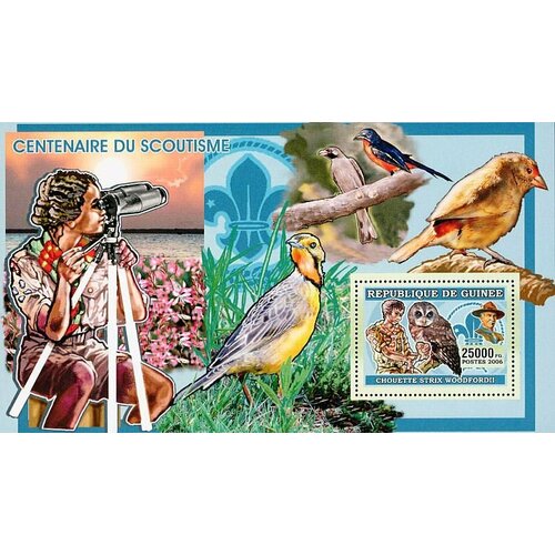 Почтовые марки Гвинея 2006г. 100-летие скаутинга Пионеры, Совы, Птицы MNH
