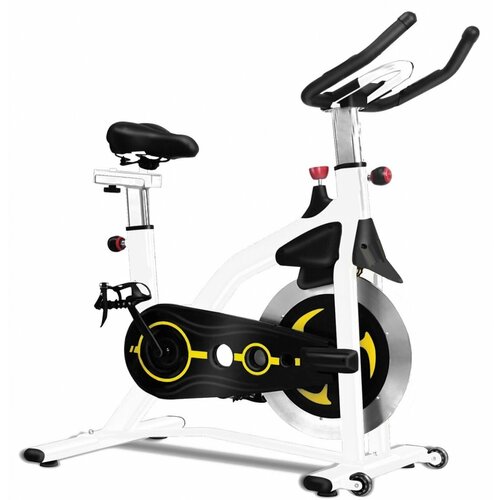 Cпин-байк DFC Chaoke CK-3 34355₽