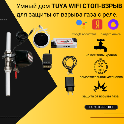 Умный дом стоп-взрыв TUYA-wifi с реле 2050000₽