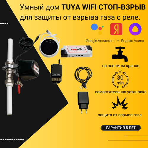 Умный дом стоп-взрыв (TUYA-wifi) с реле