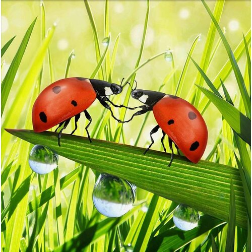 Мозаичная картина стразами алмазная живопись Пара божьих коровок, 25*25см, 1шт