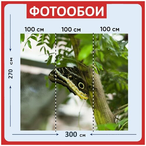 Фотообои Бабочка зеленый сад 300x270 см флизелиновыена стену 2960₽