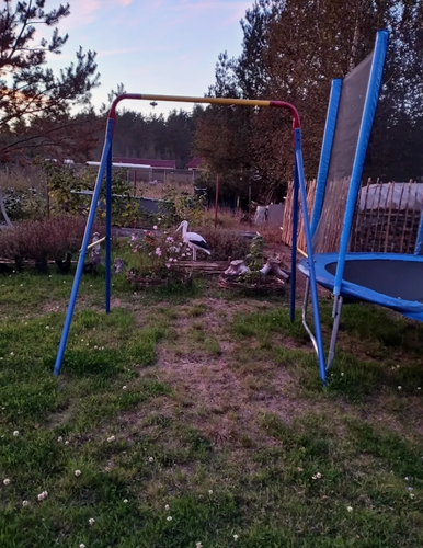 Изображение товара Качели детские садовые на улицу