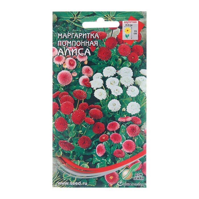 Семена цветов Маргаритка помпон. 