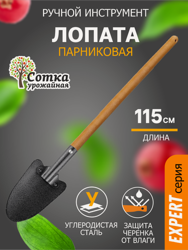 Изображение товара Лопата садовая урожайная сотка Эксперт для парника, штыковая с деревянной ручкой 1,0 м