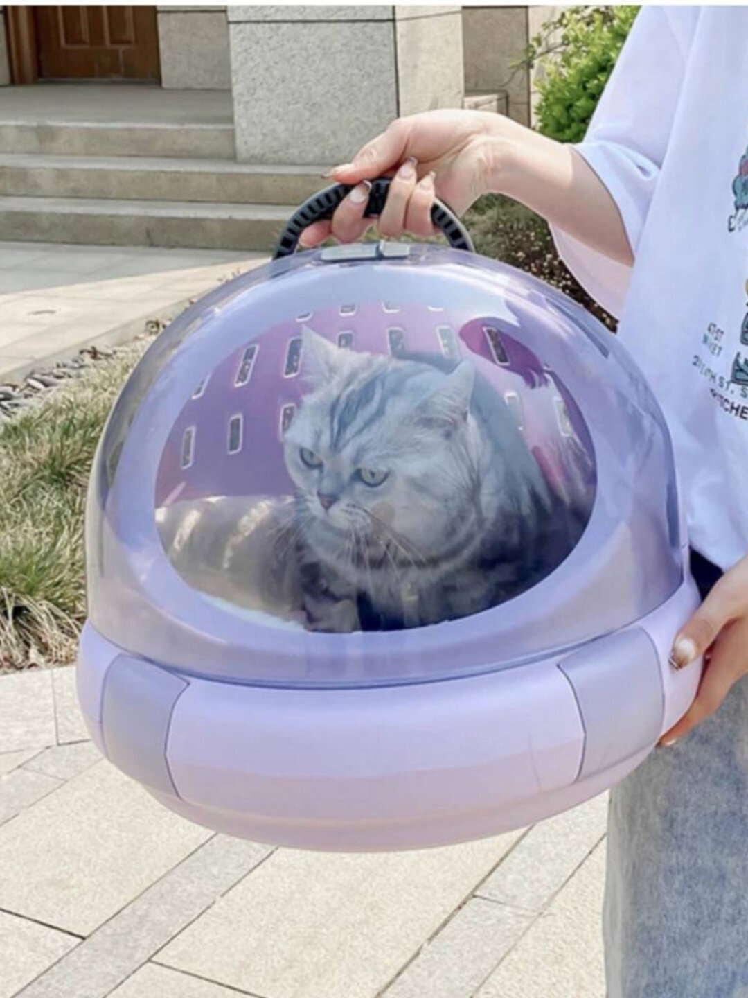 2 в 1 лоток и домик для кошек, 40*36 см — фото 1