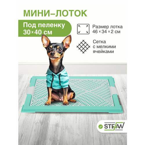Туалет лоток для собак мелких пород с сеткой мини (XS) STEFAN (Штефан), цвет бирюзовый BP1042