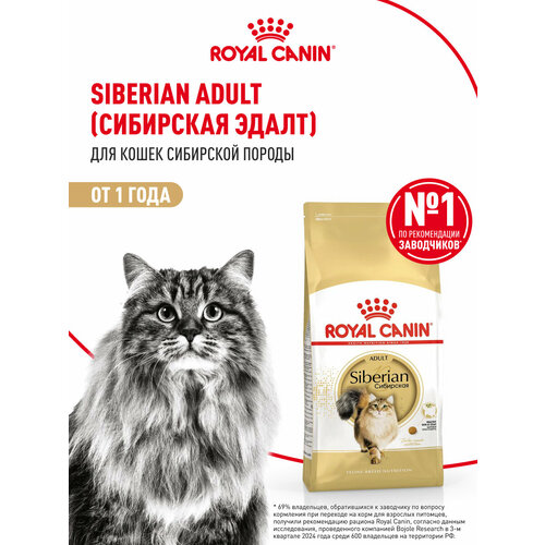 Корм для кошек Royal Canin Siberian Adult (Сибирская Эдалт) сухой специально для породы Сибирская от 12 месяцев, 2 кг