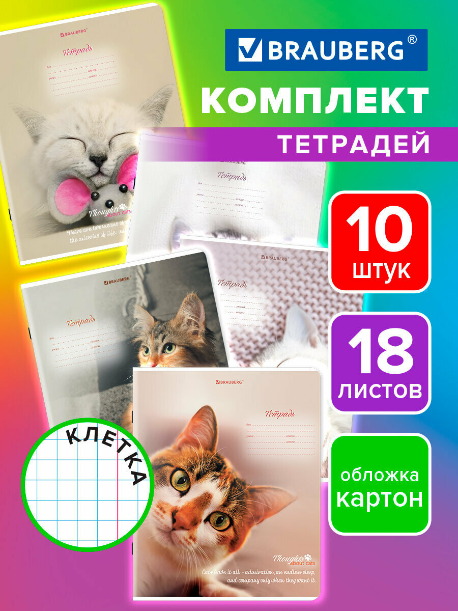 Тетради 18 л. Комплект 10 шт, Brauberg, клетка, обложка картон, Котики, 106757