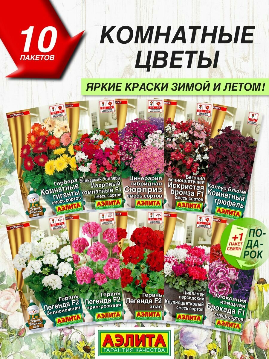 Семена цветов Аэлита Комнатные цветы Зимний сад 10 сортов / Семена Комнатных цветов
