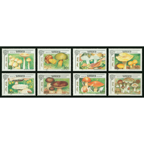 Почтовые марки Монголия 1991г. Грибы Грибы MNH