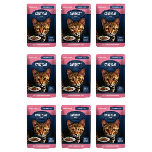 CandyCat Пауч для стерилизованных кошек, кусочки Телятины в соусе, 85 г, 9 шт
