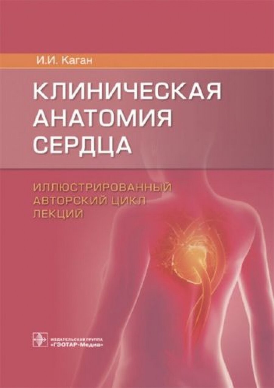 Клиническая анатомия сердца. Иллюстрированный авторский цикл лекций - фото №12