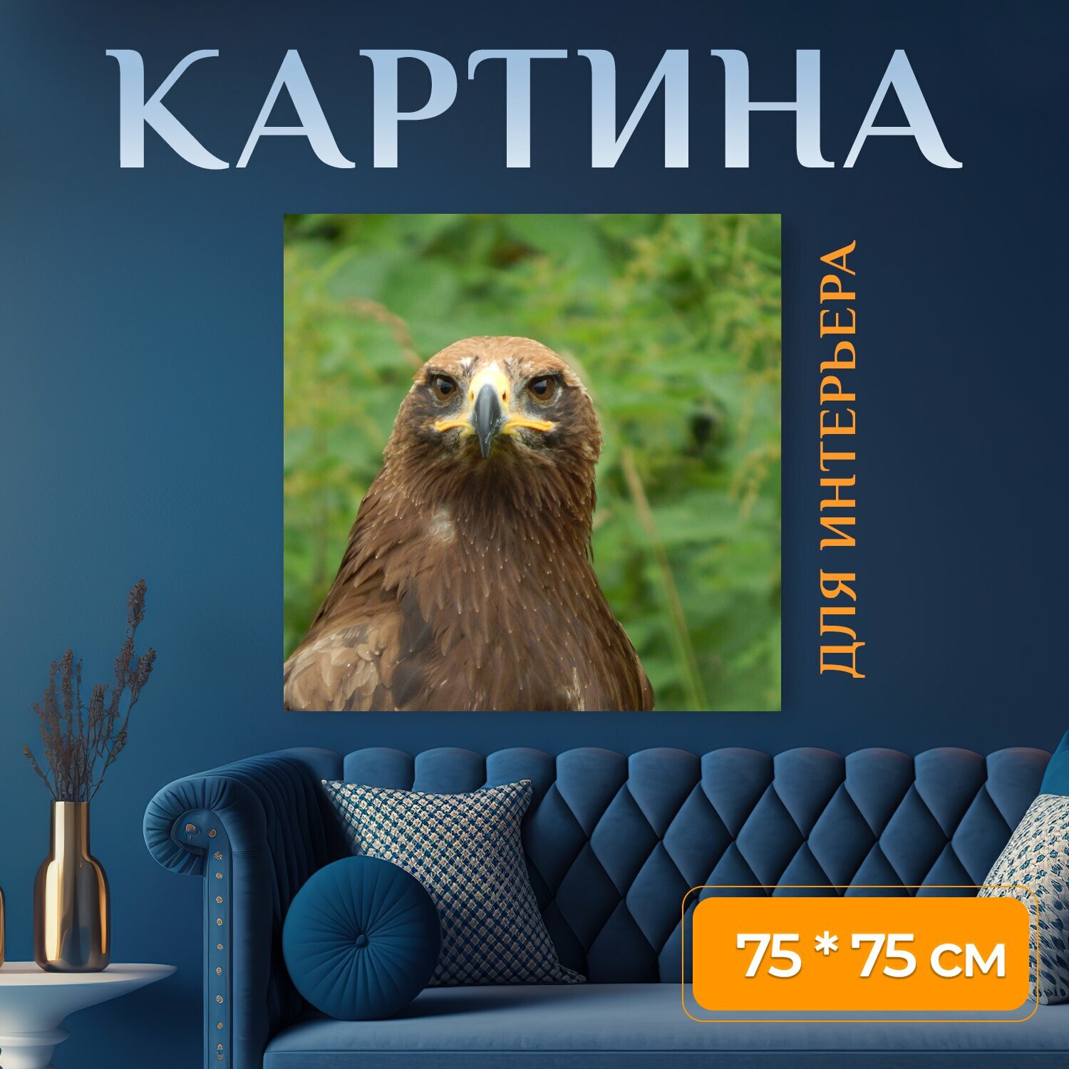 Картина на холсте "Природа, дикая природа, птица" на подрамнике 75х75 см. для интерьера