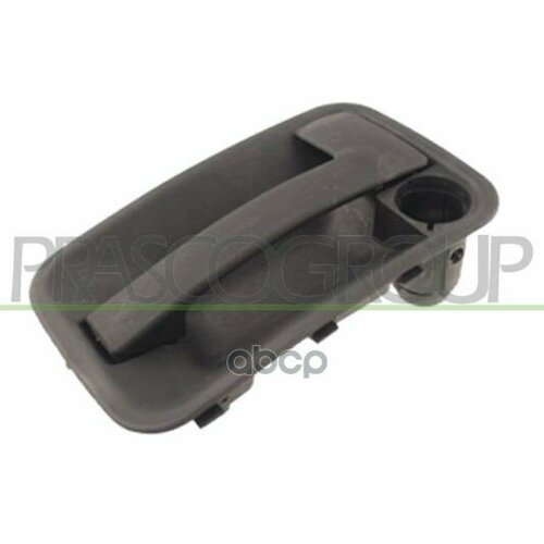 Ручка Двери Лев Prasco арт FT9218002 2270₽