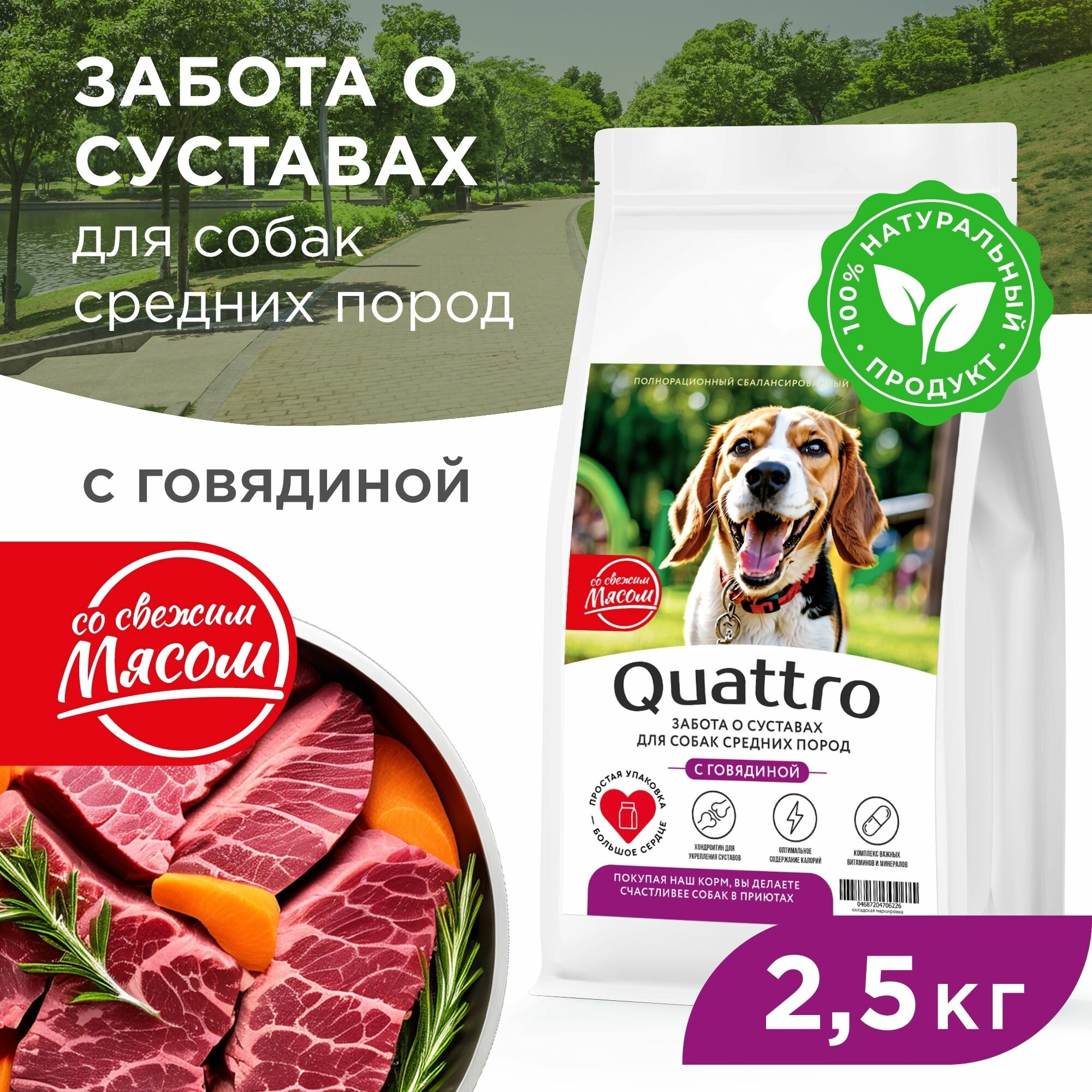 Корм сухой для взрослых собак средних пород, премиум полнорационный комплекс, забота о суставах, с говядиной, 2,5 кг, QUATTRO