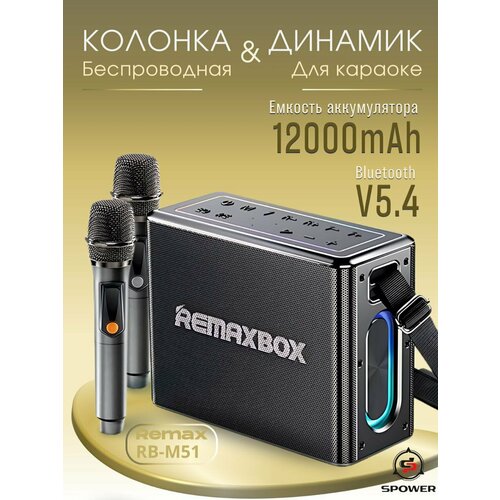 Портативная колонка с микрофонами музыкальная RBM51 1149000₽