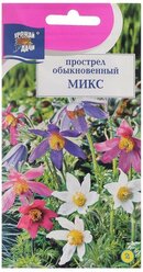 Семена цветов Прострел обыкновенный "Микс", 0,03 г, 2 упак.
