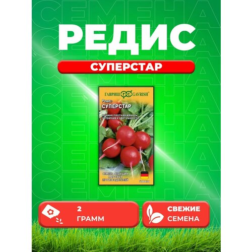 Редис Суперстар 2 г (Германия) Н18 семена редис суперстар 2 0г agroelita satimex 2 упаковки