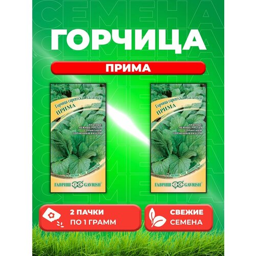 Горчица листовая Прима 1 г автор. (2уп) семена горчица листовая прима 1 0г гавриш семена от автора 2 упаковки