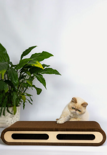 Изображение товара Когтеточка Зверьё Мое, картонная, двусторонняя, лежанка, с игрушкой, 60х30х10 см