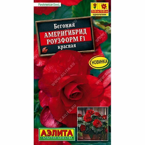 Семена бегонии 