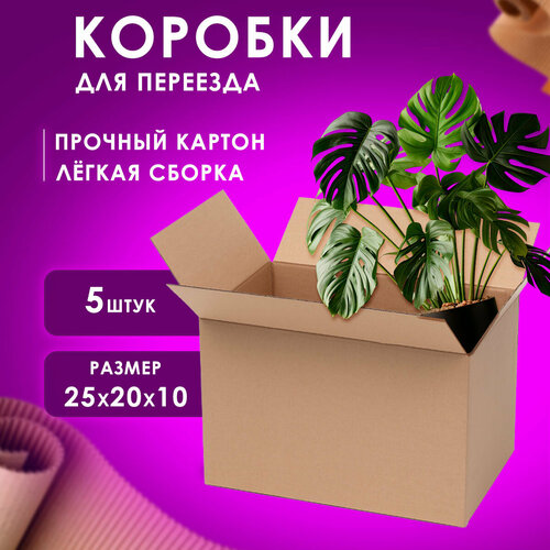 Коробка картонная для переезда и хранения 25х20х10 см, набор 5 шт